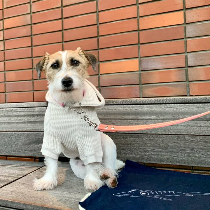 59aadbfd 5133 4d04 8bff 2f2c58a1e05d 1606643463554