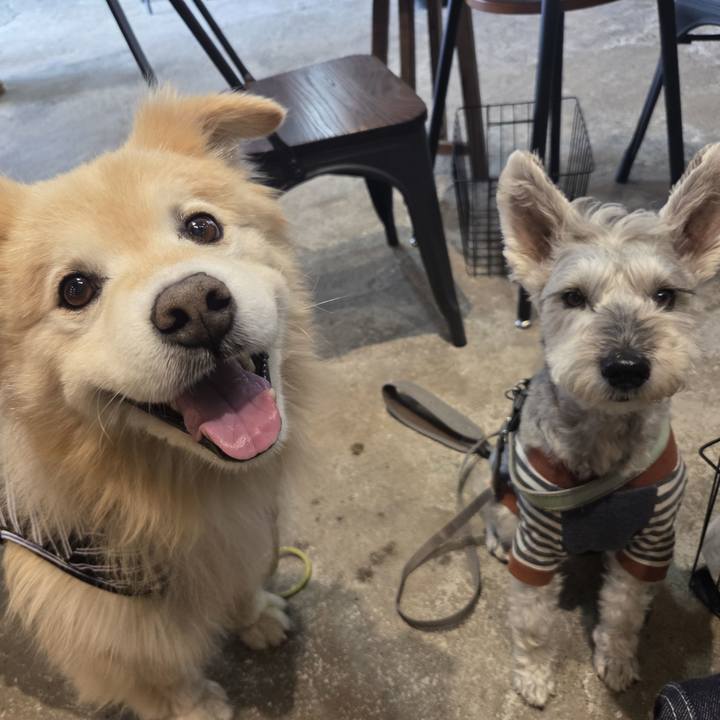 59ab043c dd1b 4d8c 8e5f 3eaf78b8ac60 1761021505822