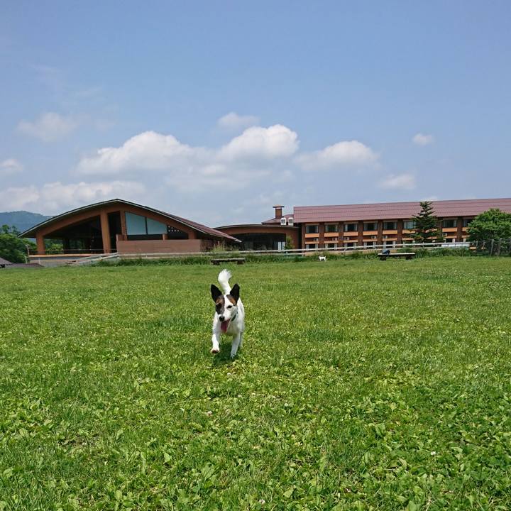 59ab1c34 66df 466c b572 66d004b93a4f 1560927957158