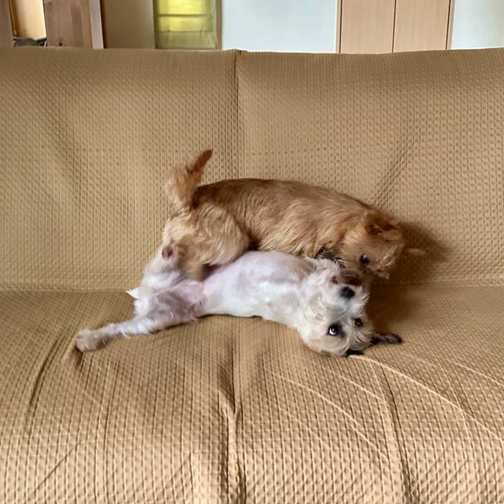 59ab354c 7a9c 478e 9166 a3eb5895ac26 1723275565053