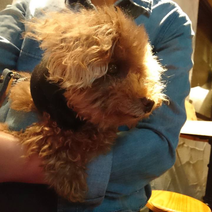 59ab3936 6987 4710 8772 433b463749d4 1562758116262