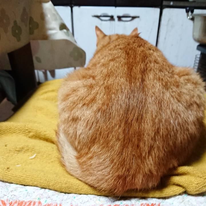 59ab5c78 3c3a 42c4 9714 4e90396b8ac4 1571101279316