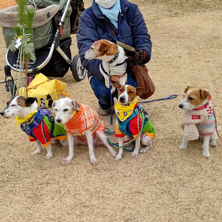 59abdd8b 3c9a 4fa5 8e24 62e5602d963c 1641802835738