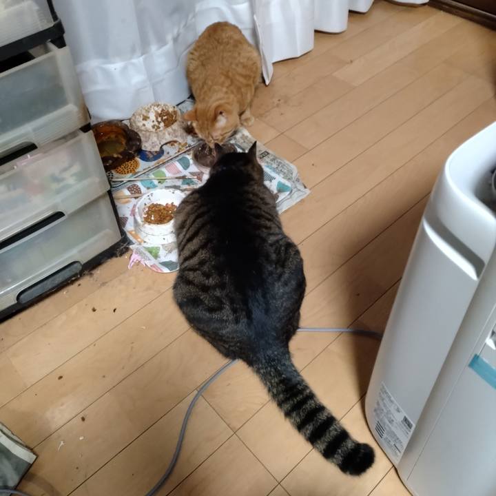 59abeea8 cec0 4436 acda 7d7123277aa0 1672790802539