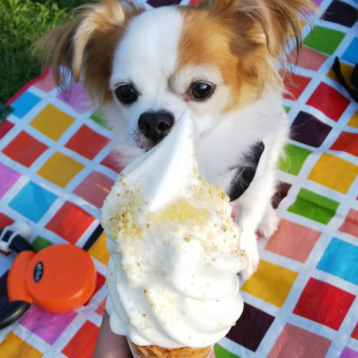 59abfa22 490f 47d7 83a6 3b111b9a2524 1536997891858