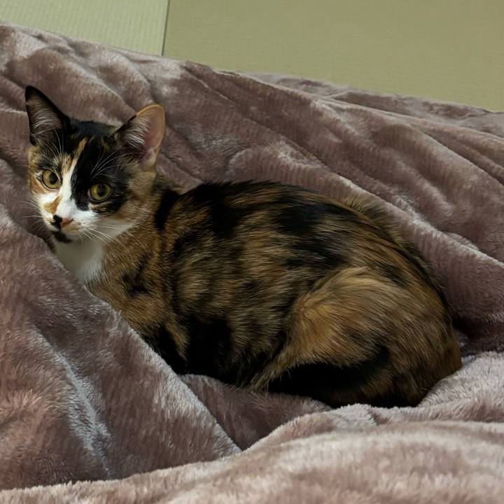 59aca30c 0417 45a8 bf79 2851ec3a70ce 1764326323898