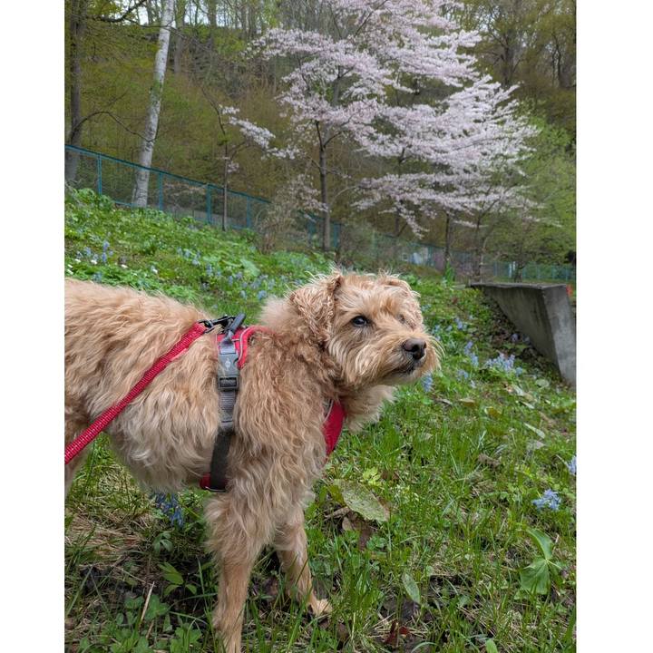 59acab6b 523a 4bc9 a62f f0f2aa8d37e2 1746324813246