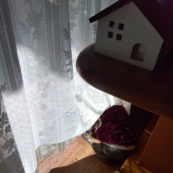 59acdd0c cee1 4911 b157 55d0a4067be8 1707832240614