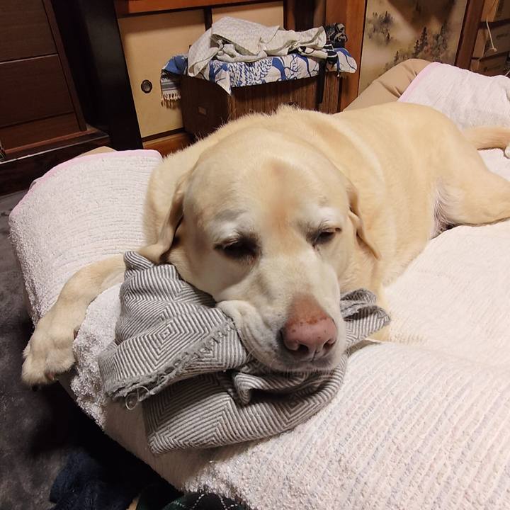 59acf91b 96d0 4ab2 81bf ef3d653b7578 1764247868763