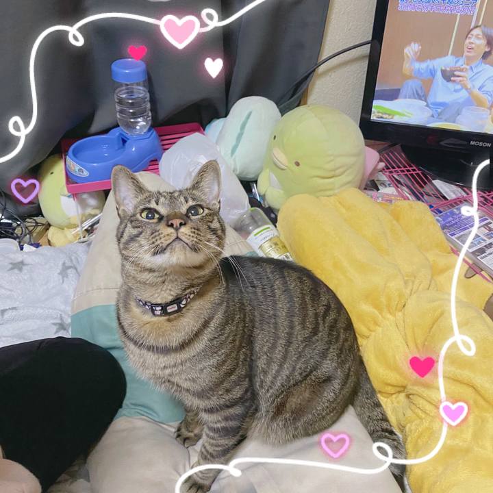 59ad3ae1 41df 47db 9702 ce546622f7d8 1582845670970