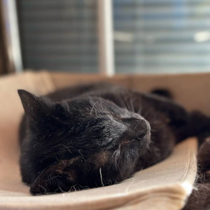 59ad49ec 0a78 41d4 ad2c 31b74702dd41 1690761397706