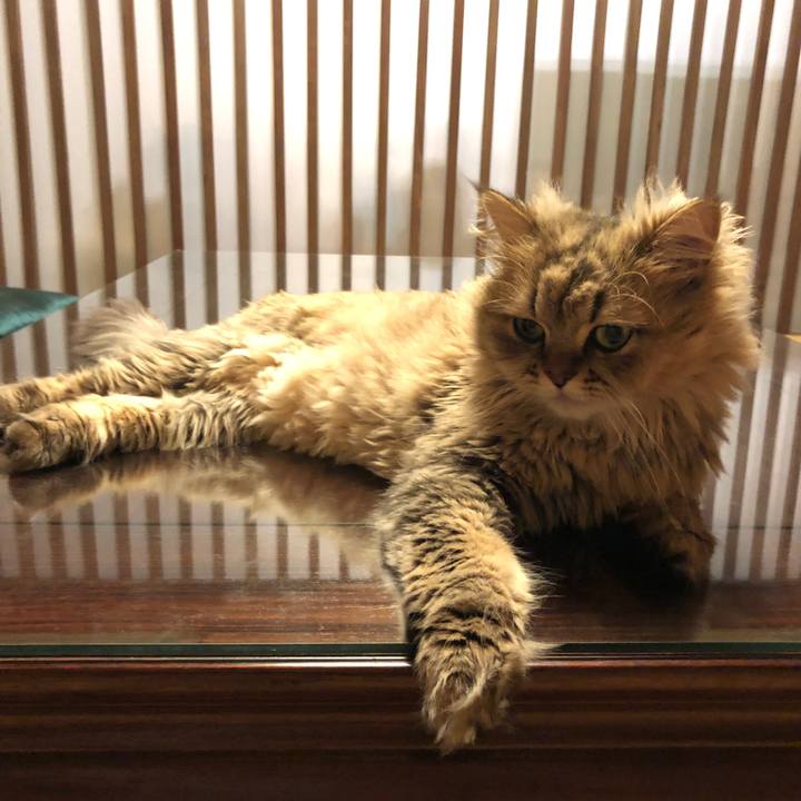 59ad5037 5a0a 4a33 b7a6 d84ecef3faf3 1564661635740