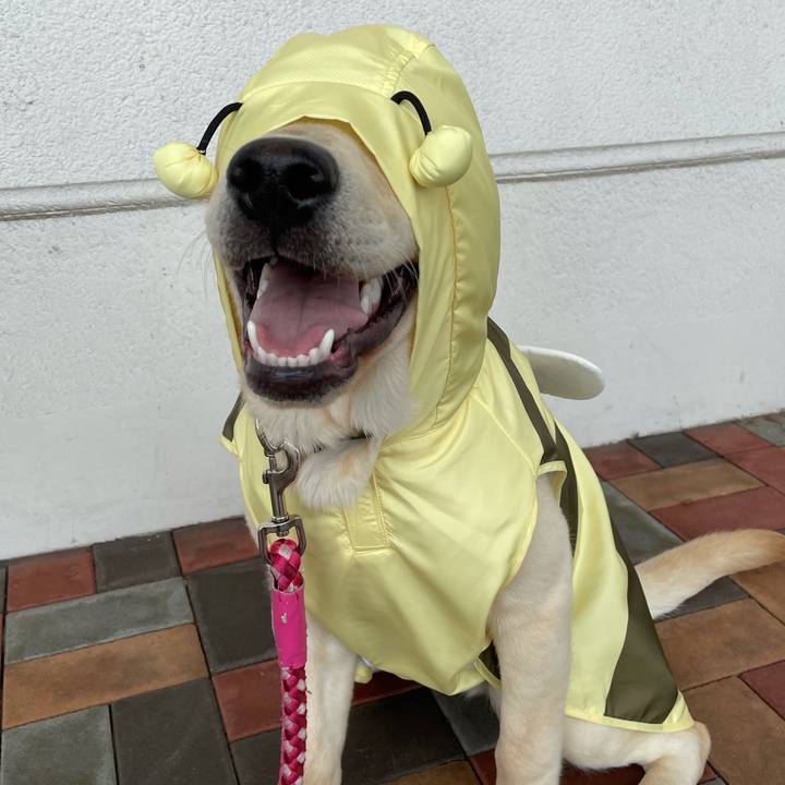 59ad8826 396d 4267 a412 7a59b2987896 1621303922996