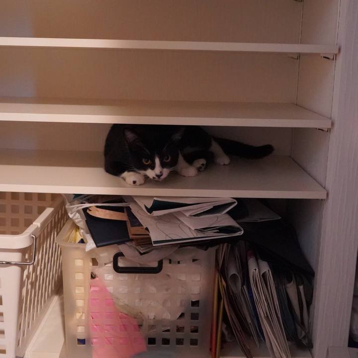 59ad8f8e ec94 43d7 87cc bde279e108da 1594650285357