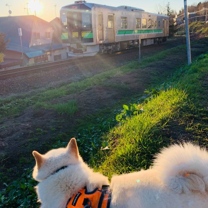 59ae0ce8 5273 46c5 999d 71a739d98f37 1619383986263