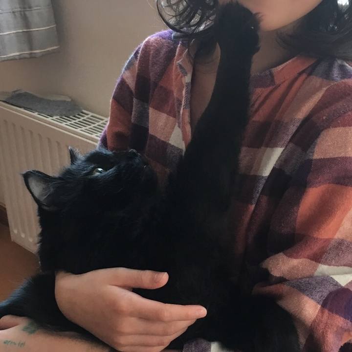 59ae26d7 7274 490d bb96 5ceec68359fd 1510021416368