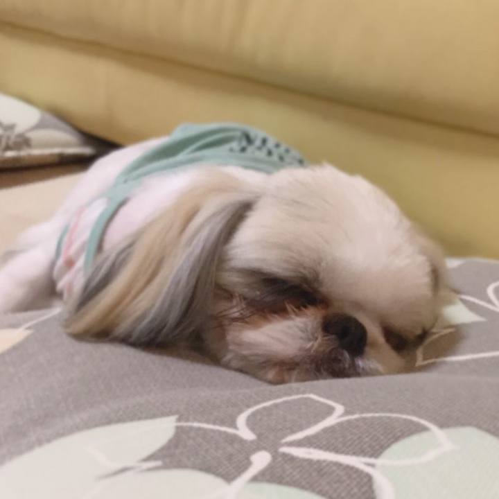 59ae70c7 a2d0 4872 9d5b 27dbe13bfaf8 1565234583947