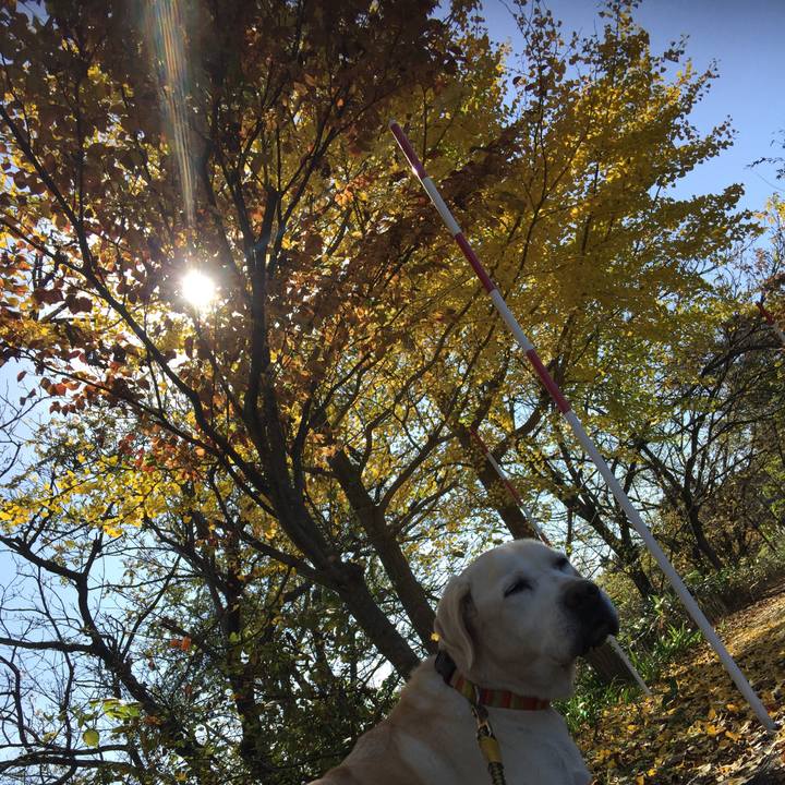 59ae91cd 27c3 4f45 8bdb 923937bb9313 1571716247902