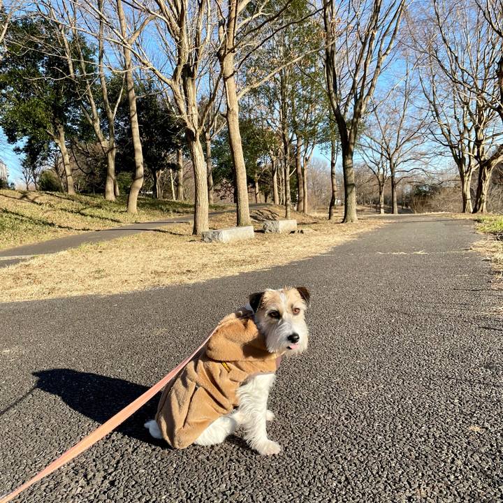 59ae9ecf d2cc 4dd3 a0e1 f51d5b5ce9d0 1675154920240