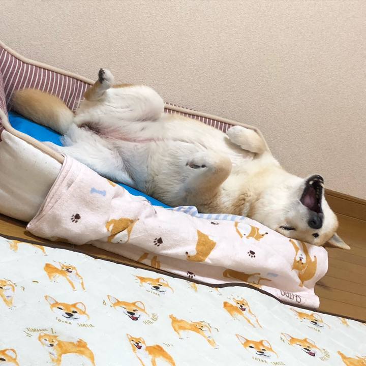 59aea46e 98a1 4149 a26d 7af9e1bece5a 1591000355886