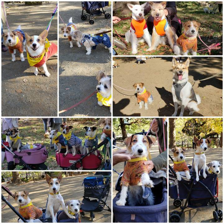 59aec2ab 365f 4771 9582 75d0e83d86b4 1606573450915