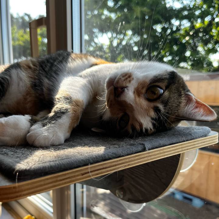 59aedeac ba9b 481a 9bad 3dcc65f99009 1719612176207