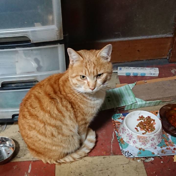 59aef35a 7f85 4eeb 9a62 d0c8c17ea5ba 1579339573328