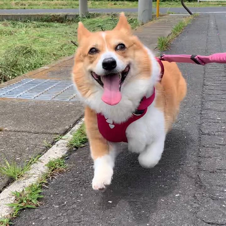 59aefc5a 9795 4341 a0cc 2eacf20a2c06 1654914116227