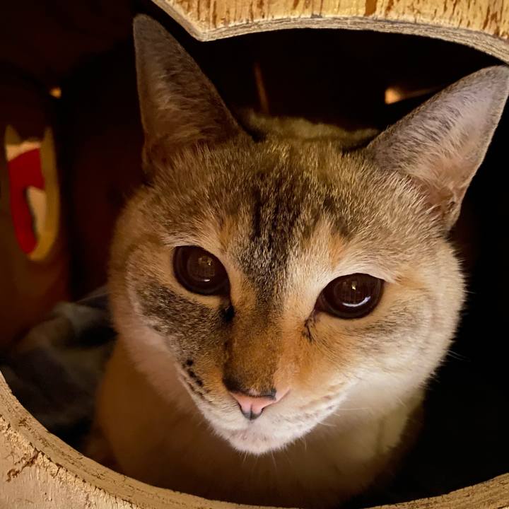 59af0d72 0332 4e18 8759 09f00f18627a 1734169874083