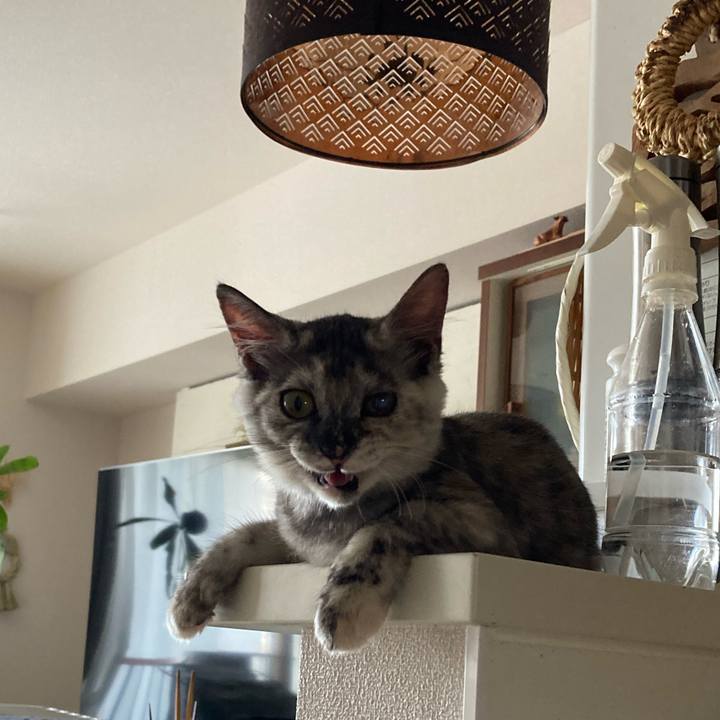 59af1f19 c5af 42fa b12f a9411e714ed8 1696389826257