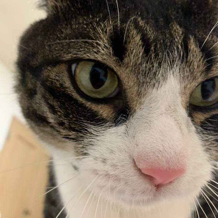 59af4717 40b8 4204 bef6 3ebb6620bf69 1560262583986