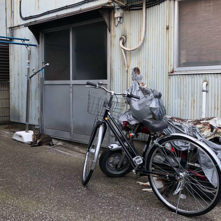 59af5a37 23a1 4971 b31a 627396a434cd 1565553355224