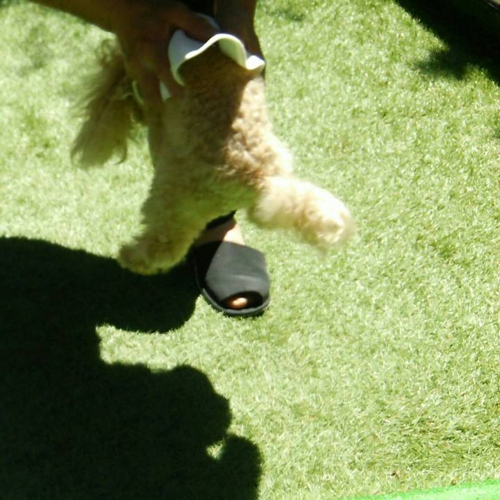 59af65e5 0edd 49be ad43 76fdcc5e6b0f 1557574053083