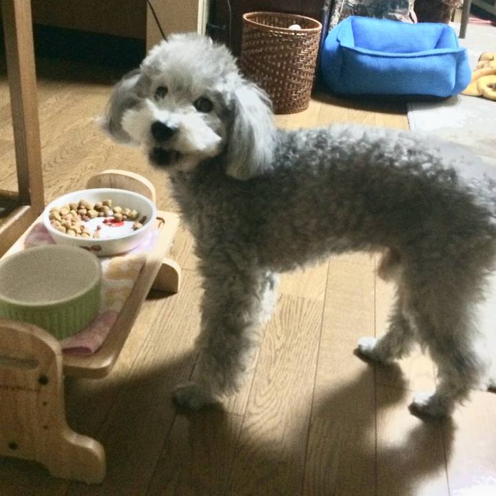 59af6bd0 fbaa 4afc 8c90 c188ed0764dd 1750109122862