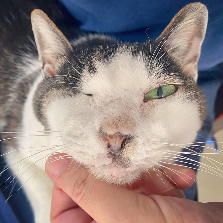 59af8f28 01b8 4704 90e0 5c6a99ac77a7 1619934016288