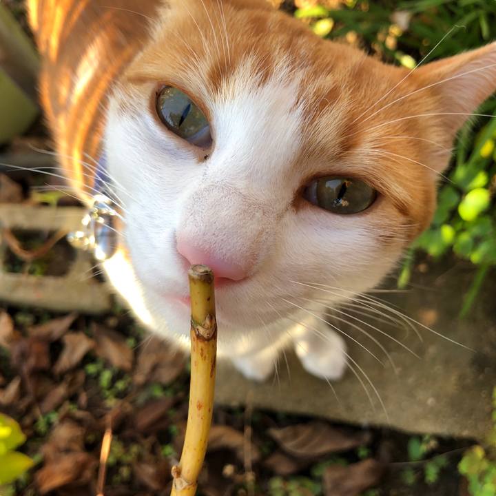 59afbffb af7b 44d3 af75 0ca09bafaa5f 1543307304707