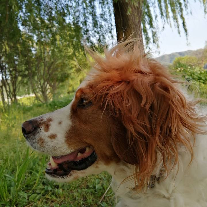 59afd268 cfb0 43f9 9804 3917f75b3108 1588595164423