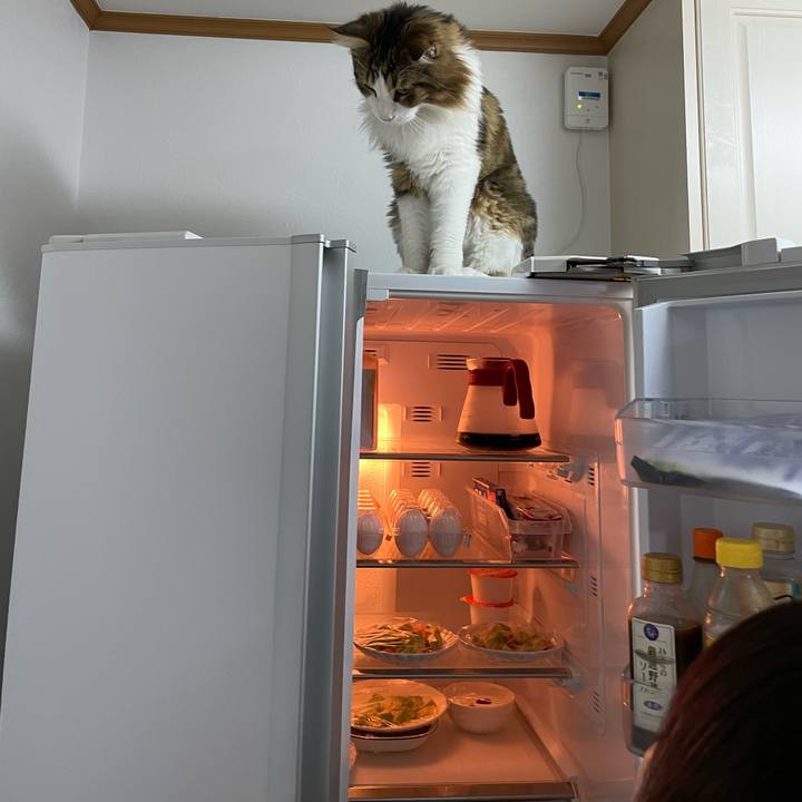 59afd460 79dc 44d4 ade2 81eed5233f64 1663665723431