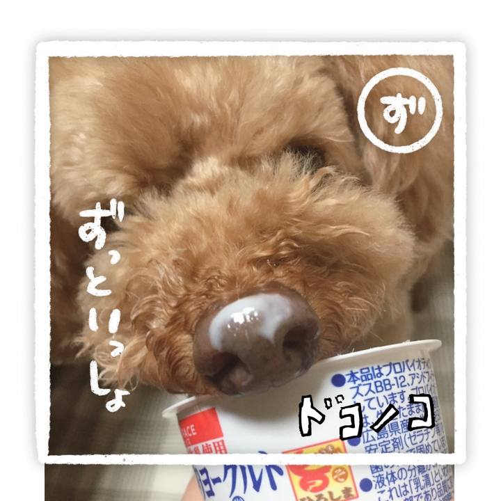 59afe1e2 046b 4dfb 91ad c6bc7901b2ac 1685941395132