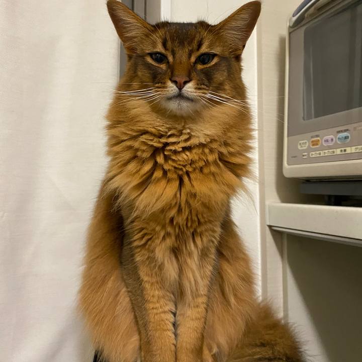 59b00006 6f35 4c7f a735 ac52803763a5 1653961650881