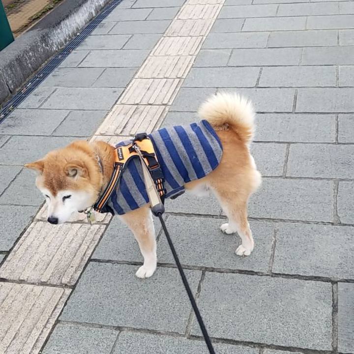 59b01867 1bc3 4d2d a6f9 416d9f2d1a2b 1706932520621