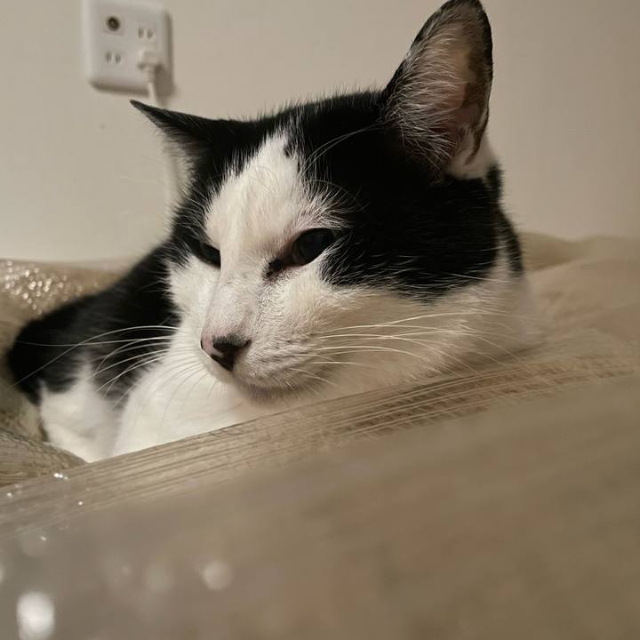 59b02b5f 4d38 4171 8ea0 fb90538bd4f3 1704481334071