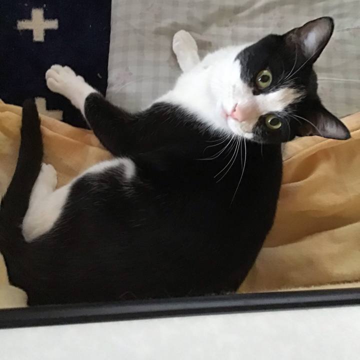 59b0518d 0e94 4de5 b153 0642b8bb2678 1713946814538