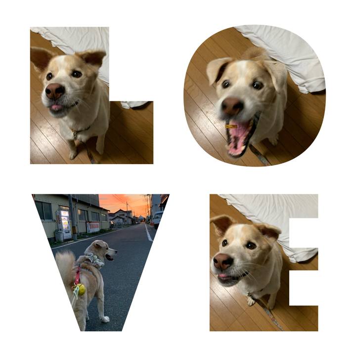 59b0b6dc a449 4e81 b729 f8373f7ff013 1597662392382