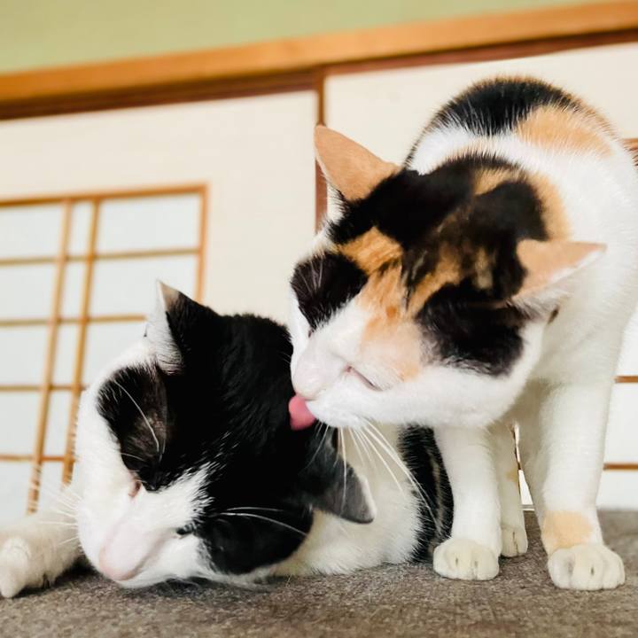 59b0f9d5 e3db 496a b515 20b091453d0c 1607221577817