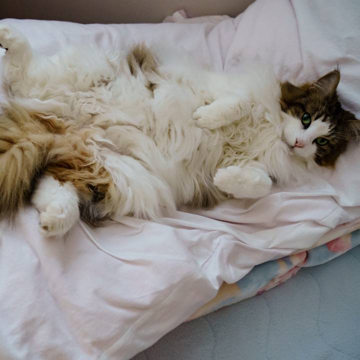 59b0fef8 293d 4920 8e05 48c62ae1b19a 1653655004670