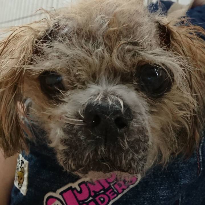 59b1029e adbf 448f 8b74 e0c1bc03f004 1527670754594