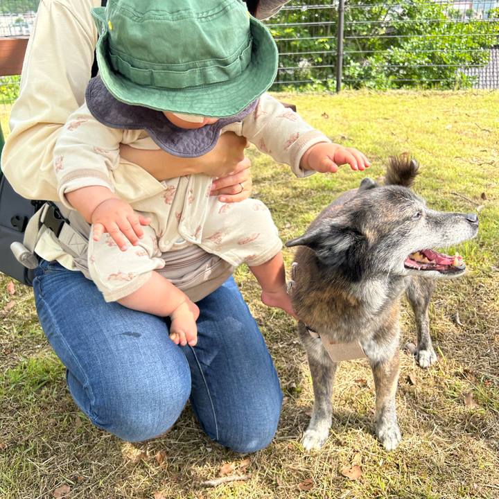 59b18066 f9b7 4f8f 9345 d0aafd504ad5 1717329380457