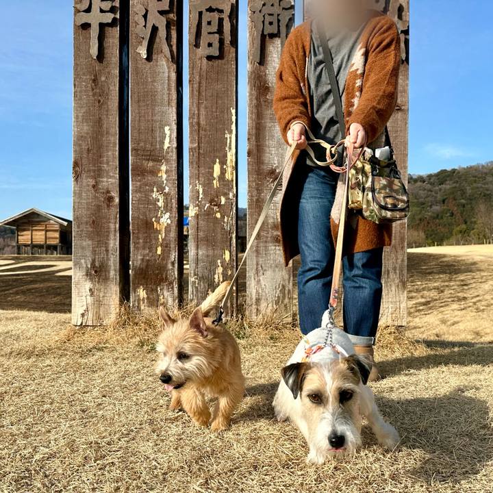 59b19bea 8374 4f95 bdf0 b164d90e05c9 1707489507944