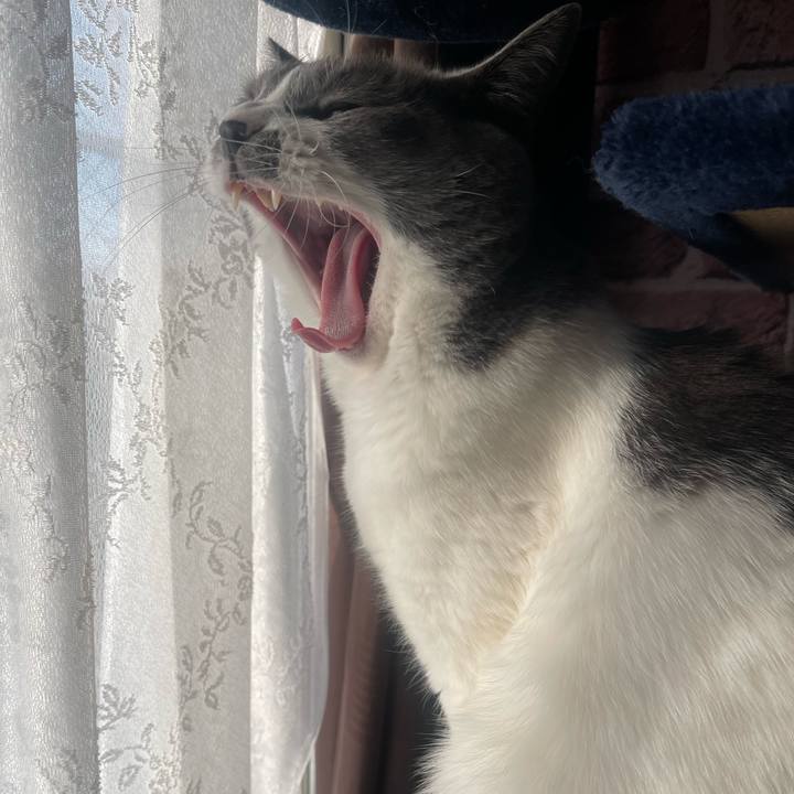 59b1b6b8 7f37 44a9 b395 24cea31624a3 1702941567248